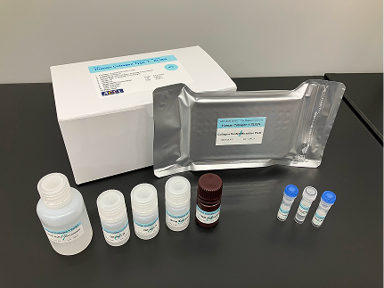 ヒトコラーゲン タイプⅠ ELISAキット